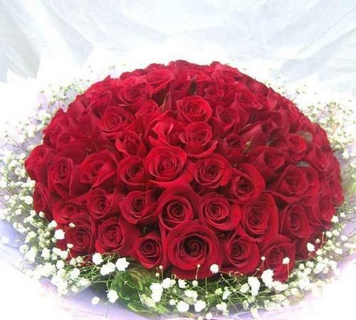 微信表情送玫瑰朵数的含义