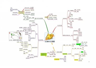 ​7张思维导图，包含初中生物全部知识点，初中生物有它就够了