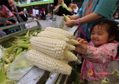 鲜黏玉米 一元一个