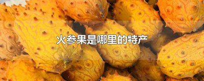 ​火参果是哪里的特产