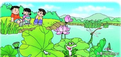 ​一年级看图写话——夏天的池塘