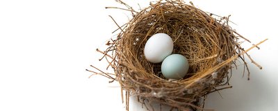 ​绿壳鸡蛋是什么鸡生的