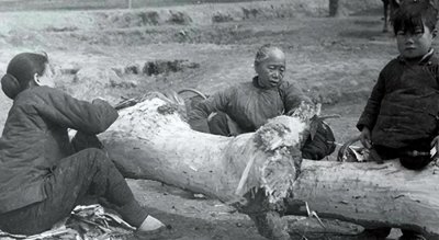 真的有亡国灭种吗?也许叙利亚能让我们亲眼见证历史