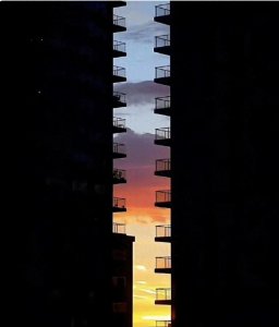 ​我们把什么当作行动指南？