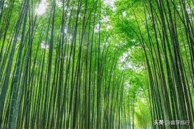 ​韩国商务签证这么多种，怎么确定要申请哪个类型