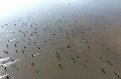 ​历史上云梦泽到底是个什么样的存