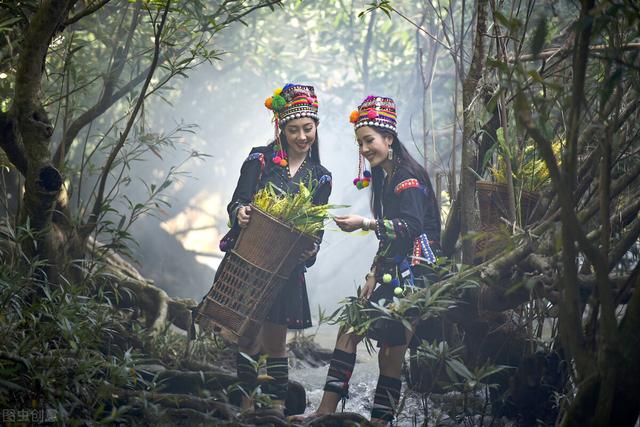 苗族巫蛊事件真相（苗族有蛊蛊物毒人）(13)