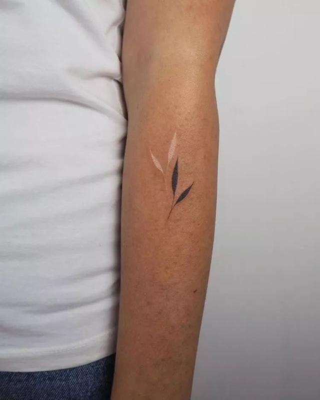 纹身隐形图案(鸽子血不一定能满足你)(22)