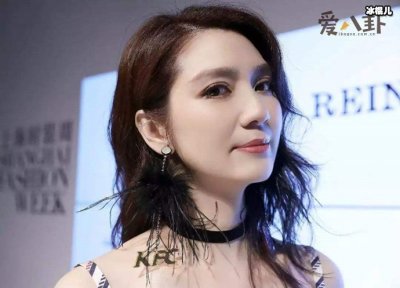 ​洪欣黑历史起底，张丹峰出轨经纪人和洪欣离婚？