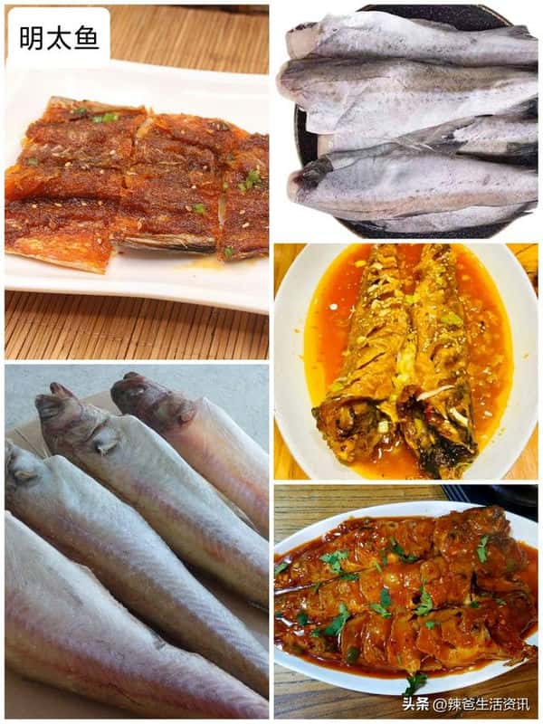 口感好的海鱼(十大最好吃的海鱼)