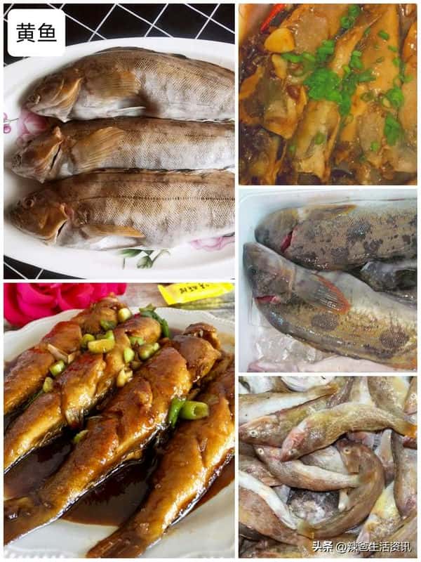 口感好的海鱼(十大最好吃的海鱼)