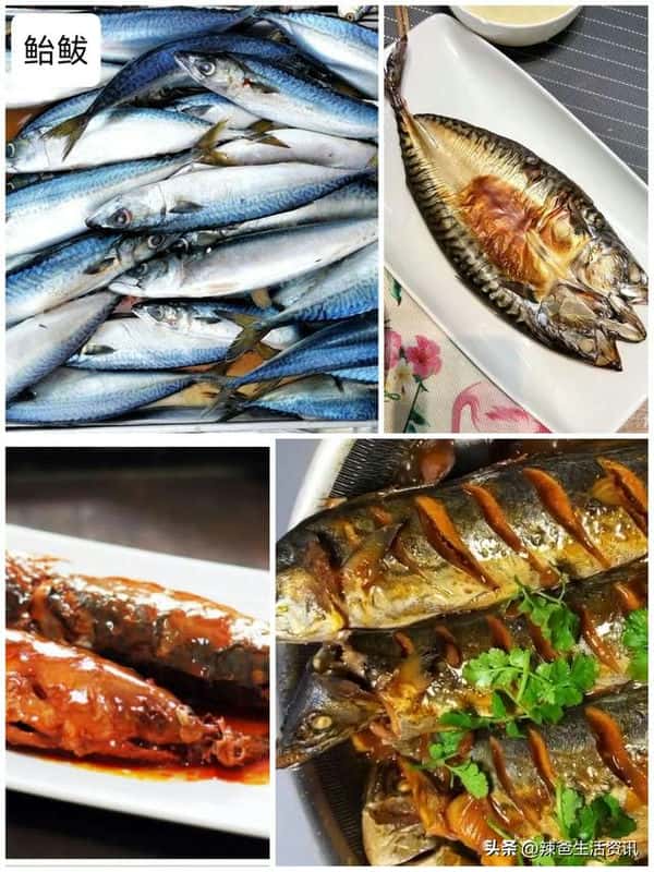 口感好的海鱼(十大最好吃的海鱼)