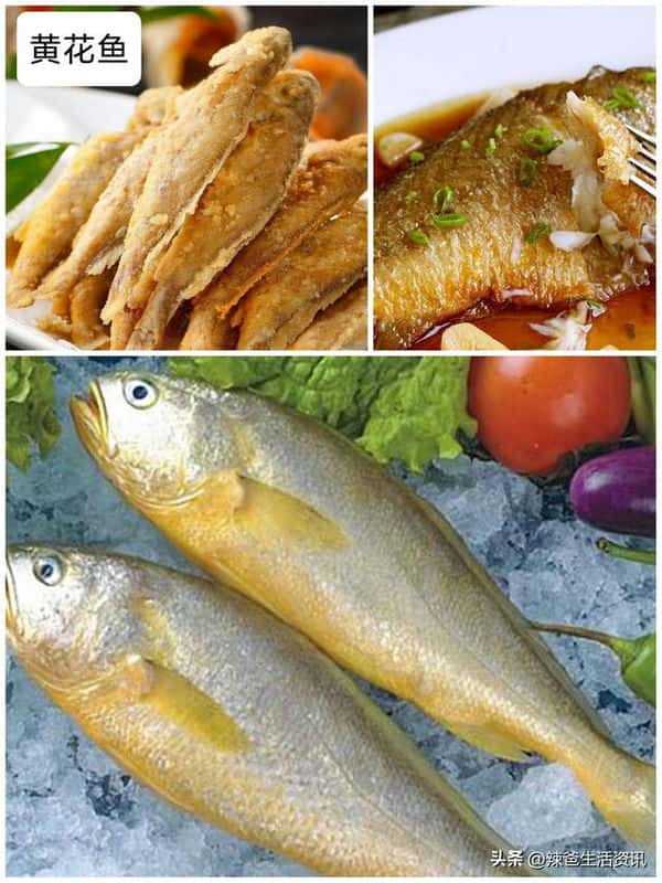 口感好的海鱼(十大最好吃的海鱼)