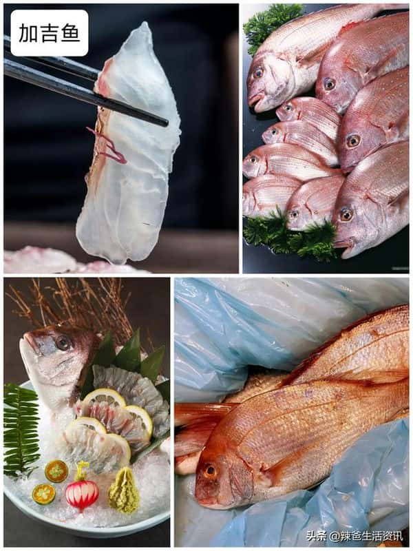 口感好的海鱼(十大最好吃的海鱼)