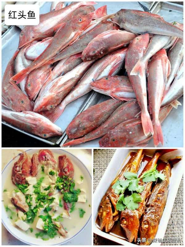 口感好的海鱼(十大最好吃的海鱼)