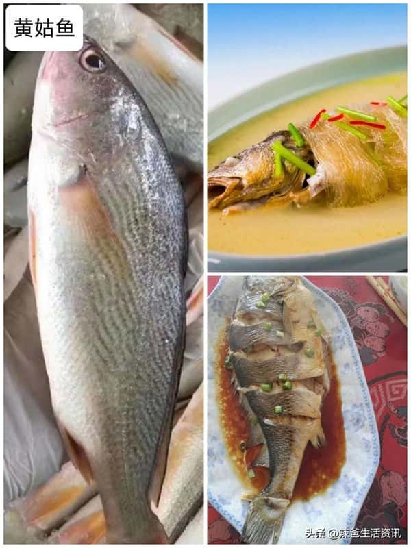 口感好的海鱼(十大最好吃的海鱼)