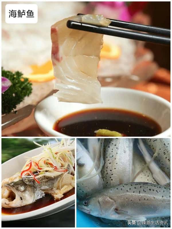 口感好的海鱼(十大最好吃的海鱼)