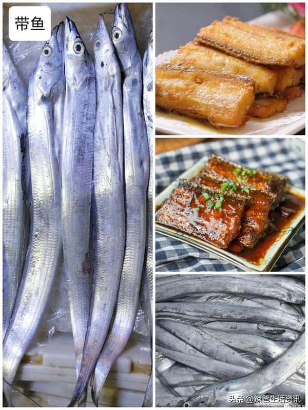 口感好的海鱼(十大最好吃的海鱼)