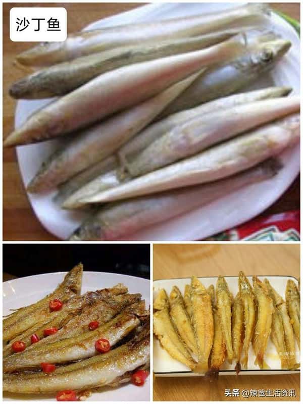 口感好的海鱼(十大最好吃的海鱼)