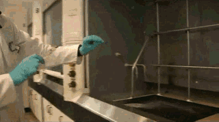 化学反应平衡图像详解(41个化学反应的动图)(41)