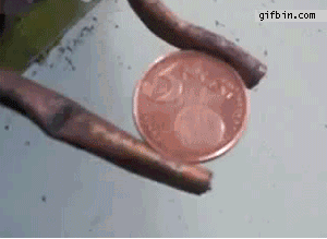 化学反应平衡图像详解(41个化学反应的动图)(8)