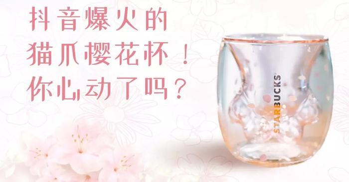 萌到窒息！星巴克樱花杯向你的钱包伸出“猫爪” |  文末福利