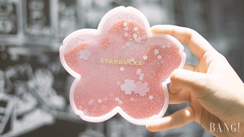 萌到窒息！星巴克樱花杯向你的钱包伸出“猫爪” |  文末福利
