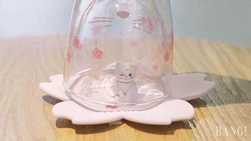 萌到窒息！星巴克樱花杯向你的钱包伸出“猫爪” |  文末福利