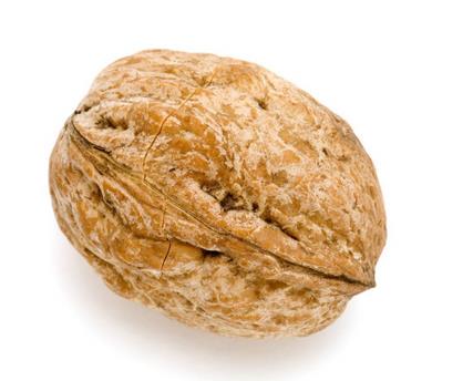 核桃油适合多大宝宝吃 新手宝妈必看 核桃油适合多大宝宝吃 新手宝妈必看