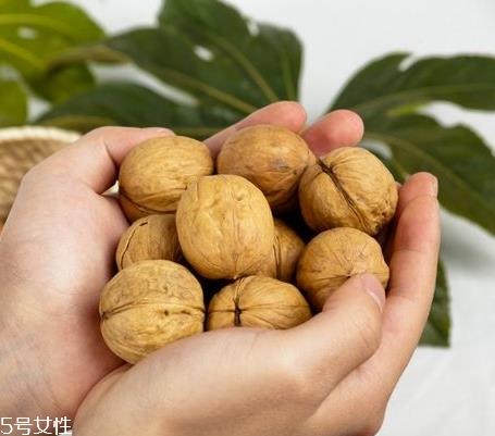 核桃油适合多大宝宝吃 新手宝妈必看 核桃油适合多大宝宝吃 新手宝妈必看