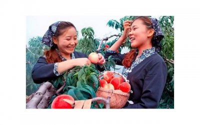 ​三岁宝宝被人贩子带走，危急时刻他说了两个字，救了自己一命！