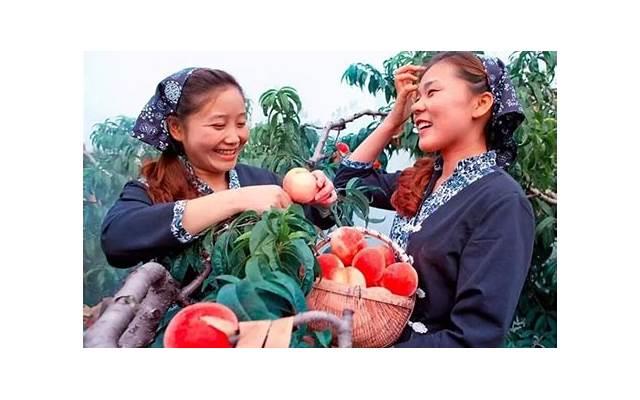 三岁宝宝被人贩子带走，危急时刻他说了两个字，救了自己一命！