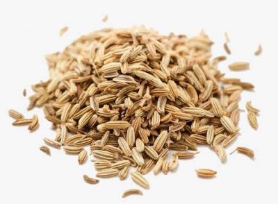 ​小茴香功效 《本草精荟》：祛寒止痛 祛寒止痛，理气和胃