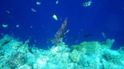 ​安徽省芜湖市旅游景点排名