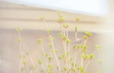 ​墙面防水涂料施工方法防水涂料的施工方法有哪些