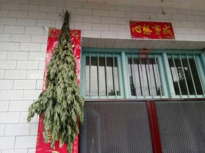 ​端午节门口挂艾草什么意思怎么放?(端午节门口插艾草的由来)