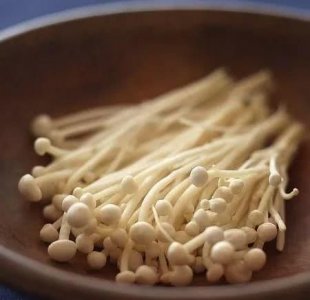 ​金针菇啥意思,男人金针菇是啥意思