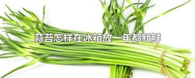 ​蒜苔怎样在冰箱放一年都新鲜 蒜苔怎么保鲜时间长在冰箱里