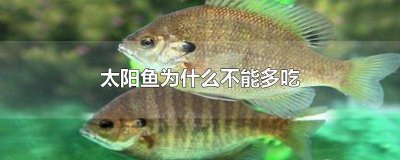 ​太阳鱼能多吃吗 太阳鱼不能吃吗