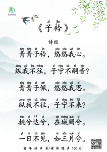​子衿拼音版（子衿的译文）