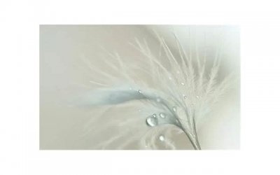 ​男生认妹妹意味着什么 你当他哥哥他却当你是情妹妹