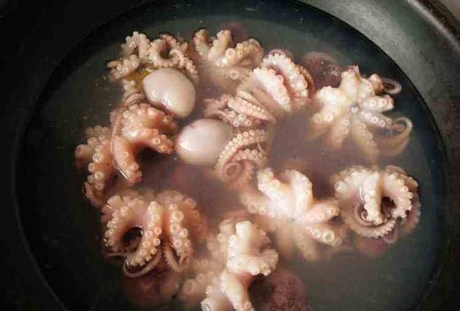 八爪鱼要煮几分钟才能煮熟