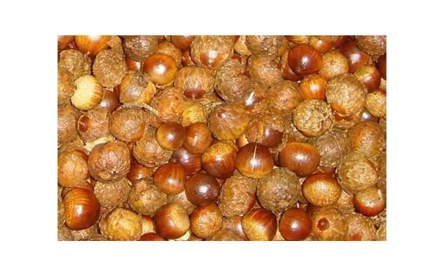 热情的白羊男突然冷淡，白羊男反感异性的表现