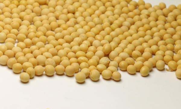 吃大豆会发胖,吃豆类会长胖吗、对身体有什么好处图3