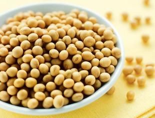 吃豆类会长胖吗、对身体有什么好处