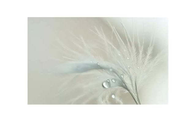 超级准！什么样的女人能锁住男人的心