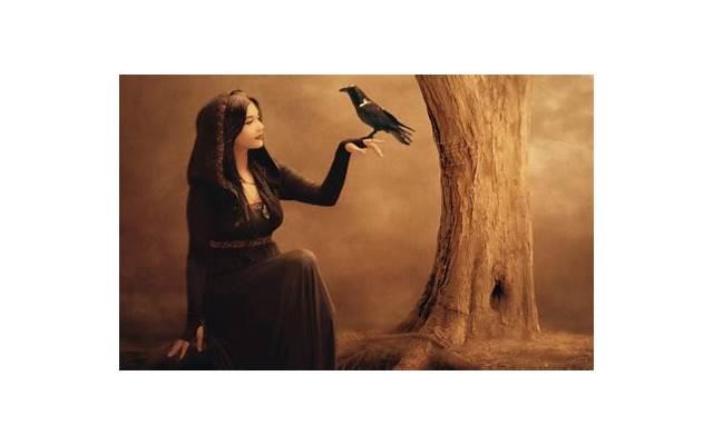 女朋友和她老爸吵架，如何处理？