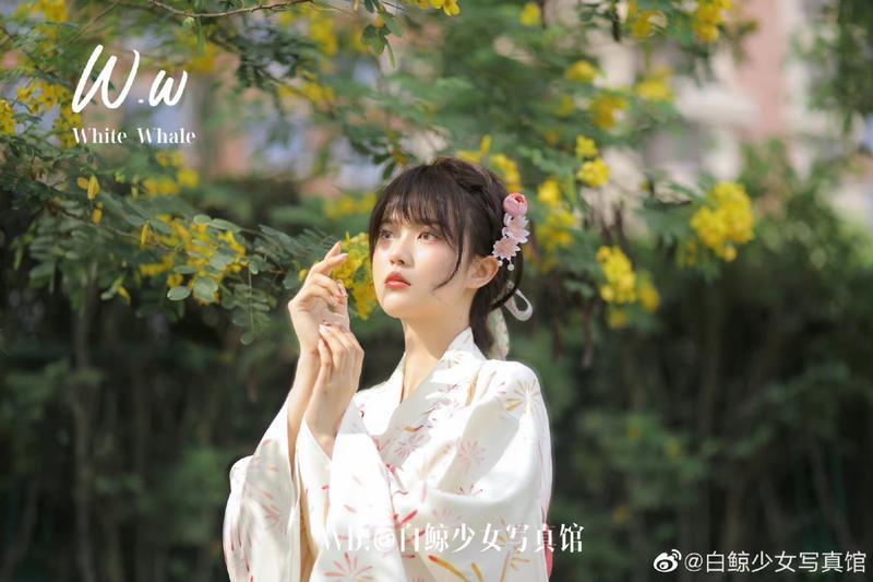  稼轩长短句的别名整理80条