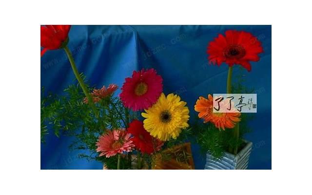 性生活以后到底该做些什么？