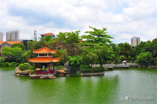 随拍公园 - 东莞 长安公园